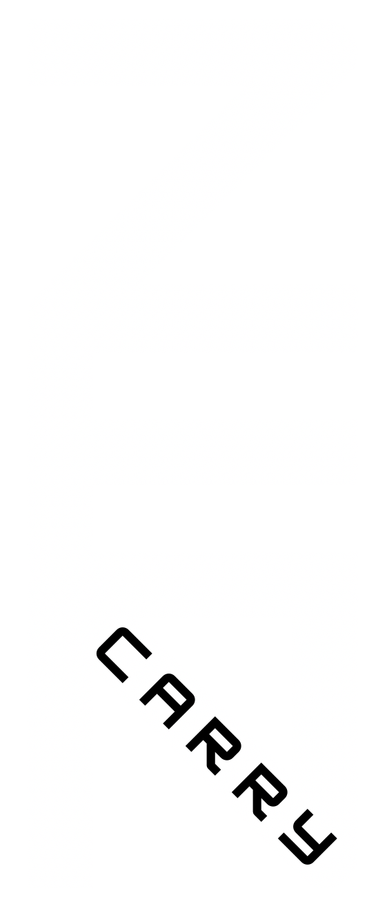 ZenCarry